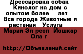 Дрессировка собак (Кинолог на дом с опытом более 10 лет) - Все города Животные и растения » Услуги   . Марий Эл респ.,Йошкар-Ола г.